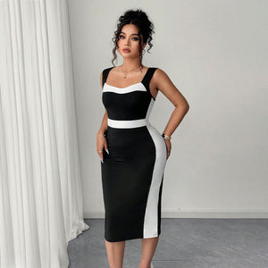 Women's Elegant Intellectual Style Contrasting-color Dress
