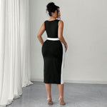 Women's Elegant Intellectual Style Contrasting-color Dress